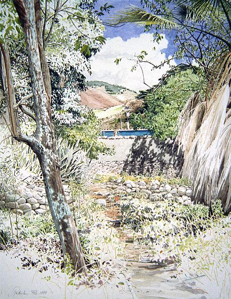 Path in Los Guaimaros  1997.jpg